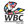 Lightweight Wanita Gelaran WBC/WBA/IBF/WBO