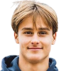 Flavio Vitale