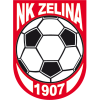 Želina