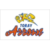 Toray Arrows
