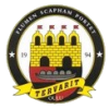 Tervarit