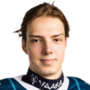 Raivis Strazdins