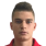 Vukcevic