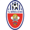 Bridlicna