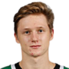 Artem Grushnikov