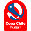 Chilean Cup