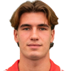Nicolo Radaelli