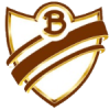 Bohemios