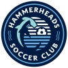 Wilmington Hammerheads