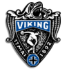 Viking Ž