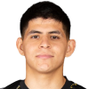 Manuel Ivan Carrillo Picazo