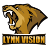 Lynn Vision