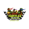 Tales of the Turtles 400