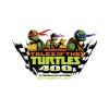 Tales of the Turtles 400