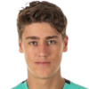 Max Woodford