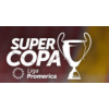 Piala Super