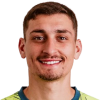 Djordje Petrovic