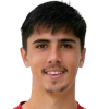 Carlos Aleman