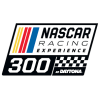 NASCAR レーシング・エクスペリエンス 300