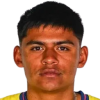 Walter Portales