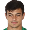 Roman Volokhatyi