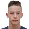 Dominick Olle