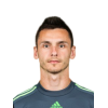 Vedran Janjetovic