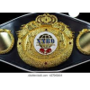 Heavyweight Mannen NABA/NABF Titles