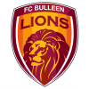 Bulleen Lions F