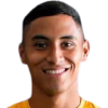 Luis Pereira