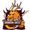 Dragon Gate Team
