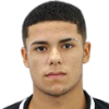 Vitinho Lopes