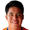 Schneider Pena