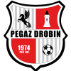 Pegaz Drobin