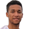 Ricardo Montenegro