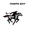 Tampa Bay Bandits