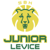 Junior Levice