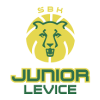 Junior Levice