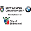 Dél-afrikai Open