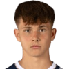 Viktor Vitalyos
