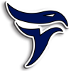 Ulm Falcons