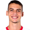 Danilo Teodorovic