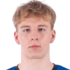 Hendrik Link