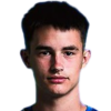 Daniel Mulasics