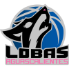 Lobas Aguascalientes D