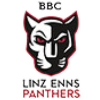 Linz-Enns W