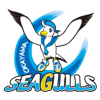 Okayama Seagulls W