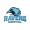 Vaxjo W team logo