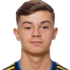 Fred Bozicevic
