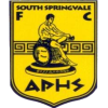 South Springvale